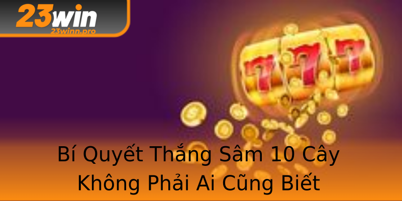 Bí Quyết Thắng Sâm 10 Cây Không Phải Ai Cũng Biết Bí Quyết Thắng Sâm 10 Cây Không Phải Ai Cũng Biết