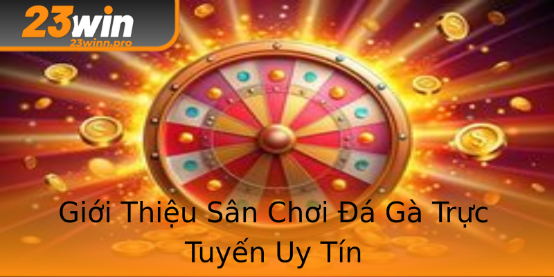 Giới Thiệu Sân Chơi Đá Gà Trực Tuyến Uy Tín Giới Thiệu Sân Chơi Đá Gà Trực Tuyến Uy Tín