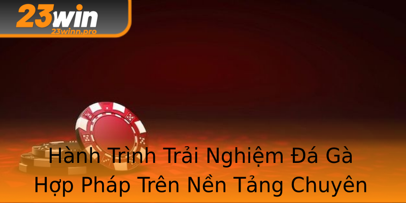 Hành Trình Trải Nghiệm Đá Gà Hợp Pháp Trên Nền Tảng Chuyên Nghiệp Hành Trình Trải Nghiệm Đá Gà Hợp Pháp Trên Nền Tảng Chuyên Nghiệp