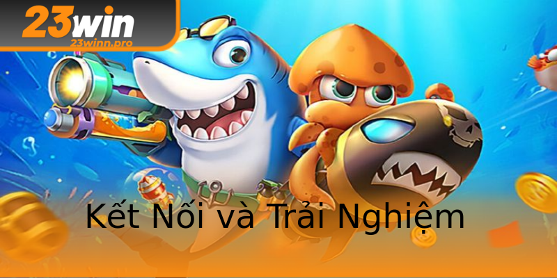 Kết Nối và Trải Nghiệm Kết Nối và Trải Nghiệm