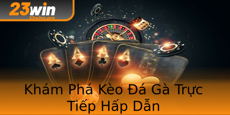 Khám Phá Kèo Đá Gà Trực Tiếp Hấp Dẫn Khám Phá Kèo Đá Gà Trực Tiếp Hấp Dẫn