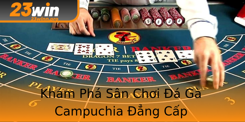 Khám Phá Sân Chơi Đá Gà Campuchia Đẳng Cấp Khám Phá Sân Chơi Đá Gà Campuchia Đẳng Cấp