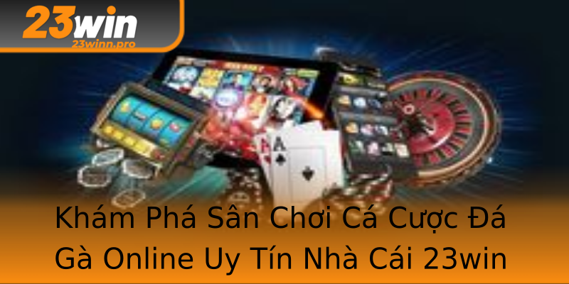 Khám Phá Sân Chơi Cá Cược Đá Gà Online Uy Tín Nhà Cái 23win Khám Phá Sân Chơi Cá Cược Đá Gà Online Uy Tín Nhà Cái 23win