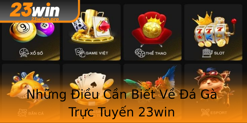 Những Điều Cần Biết Về Đá Gà Trực Tuyến 23win Những Điều Cần Biết Về Đá Gà Trực Tuyến 23win