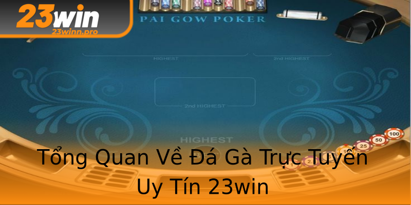 Tổng Quan Về Đá Gà Trực Tuyến Uy Tín 23win Tổng Quan Về Đá Gà Trực Tuyến Uy Tín 23win
