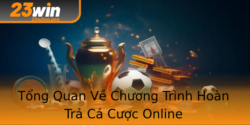 Tổng Quan Về Chương Trình Hoàn Trả Cá Cược Online Tổng Quan Về Chương Trình Hoàn Trả Cá Cược Online