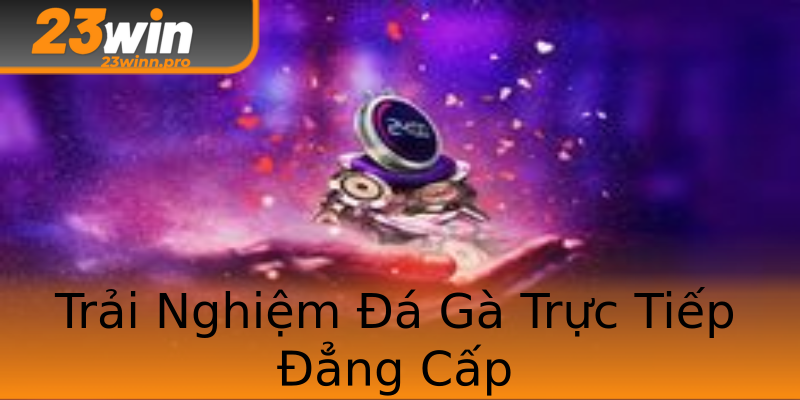 Trải Nghiệm Đá Gà Trực Tiếp Đẳng Cấp Trải Nghiệm Đá Gà Trực Tiếp Đẳng Cấp