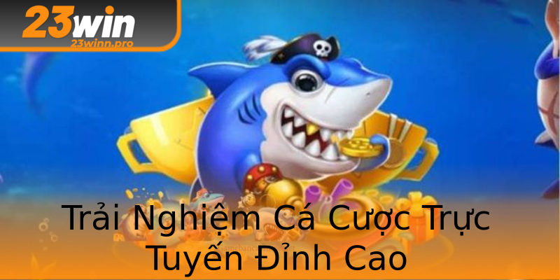 Trải Nghiệm Cá Cược Trực Tuyến Đỉnh Cao Trải Nghiệm Cá Cược Trực Tuyến Đỉnh Cao