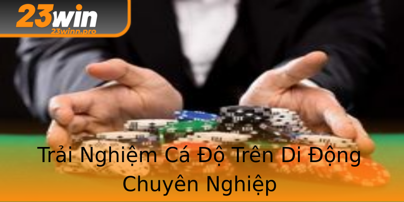 Trải Nghiệm Cá Độ Trên Di Động Chuyên Nghiệp Trải Nghiệm Cá Độ Trên Di Động Chuyên Nghiệp